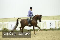 24R13_14720 thumbnail