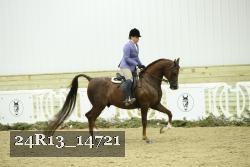24R13_14721 thumbnail
