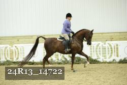 24R13_14722 thumbnail