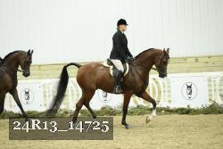 24R13_14725 thumbnail