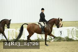 24R13_14726 thumbnail