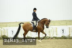 24R13_14727 thumbnail
