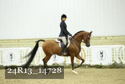 24R13_14728 thumbnail