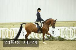 24R13_14729 thumbnail