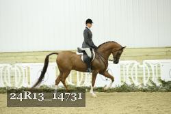 24R13_14731 thumbnail