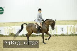 24R13_14732 thumbnail