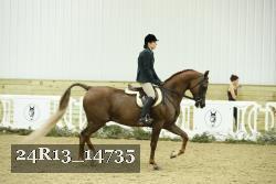 24R13_14735 thumbnail