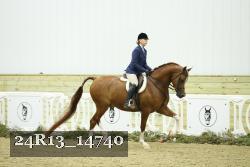 24R13_14740 thumbnail