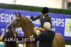 24R13_14748 thumbnail