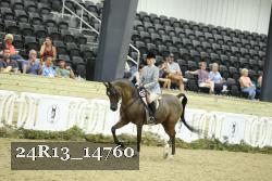 24R13_14760 thumbnail