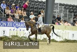 24R13_14762 thumbnail