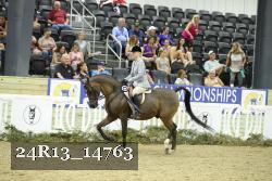 24R13_14763 thumbnail