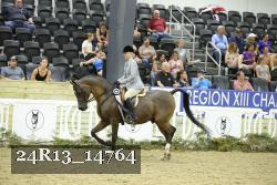 24R13_14764 thumbnail