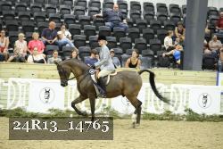 24R13_14765 thumbnail