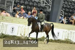 24R13_14766 thumbnail