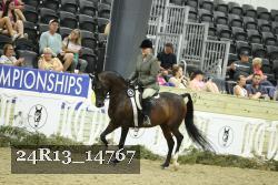 24R13_14767 thumbnail