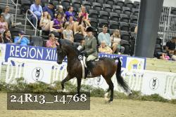 24R13_14768 thumbnail