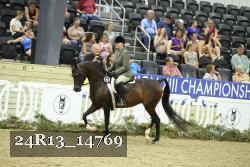 24R13_14769 thumbnail