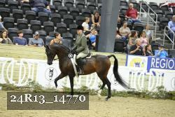 24R13_14770 thumbnail
