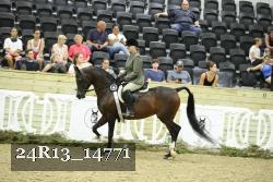 24R13_14771 thumbnail