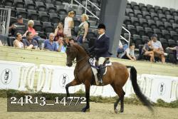 24R13_14772 thumbnail