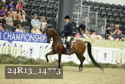 24R13_14773 thumbnail