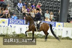 24R13_14774 thumbnail
