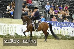 24R13_14775 thumbnail