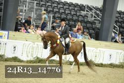 24R13_14776 thumbnail