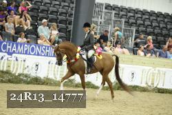 24R13_14777 thumbnail