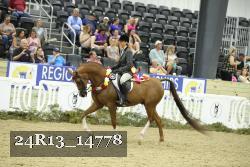 24R13_14778 thumbnail