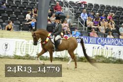 24R13_14779 thumbnail