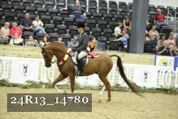 24R13_14780 thumbnail