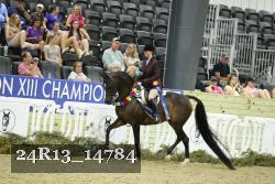 24R13_14784 thumbnail