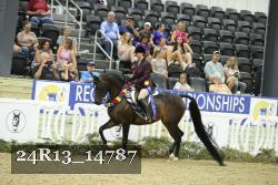 24R13_14787 thumbnail