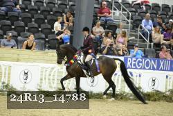 24R13_14788 thumbnail