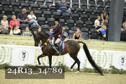 24R13_14789 thumbnail