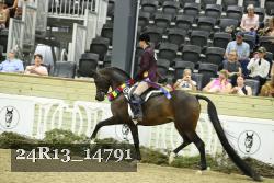 24R13_14791 thumbnail