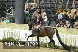 24R13_14792 thumbnail