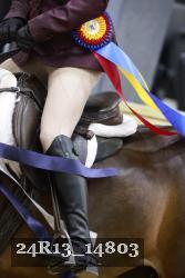24R13_14803 thumbnail