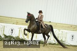 24R13_14804 thumbnail