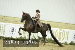 24R13_14805 thumbnail