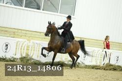 24R13_14806 thumbnail