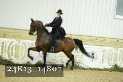 24R13_14807 thumbnail