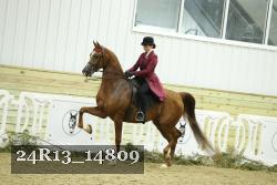 24R13_14809 thumbnail