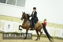 24R13_14810 thumbnail