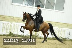 24R13_14811 thumbnail