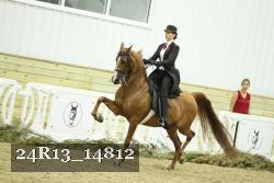 24R13_14812 thumbnail