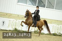 24R13_14813 thumbnail