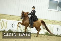 24R13_14814 thumbnail